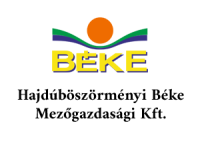 béke